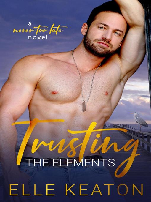 Cover image for Trusting the Elements